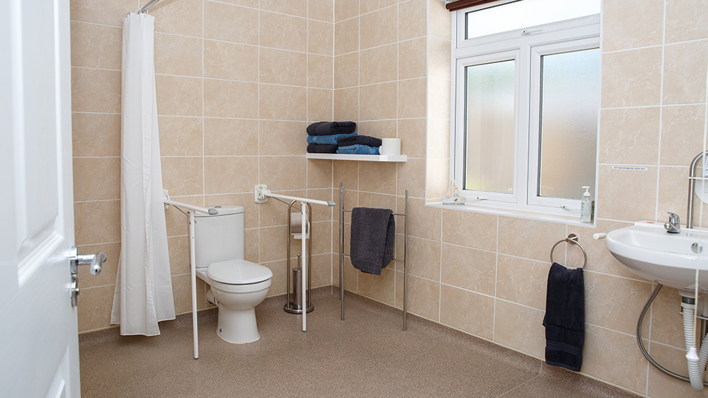 Accessible wet room with standard height WC and drop down rails